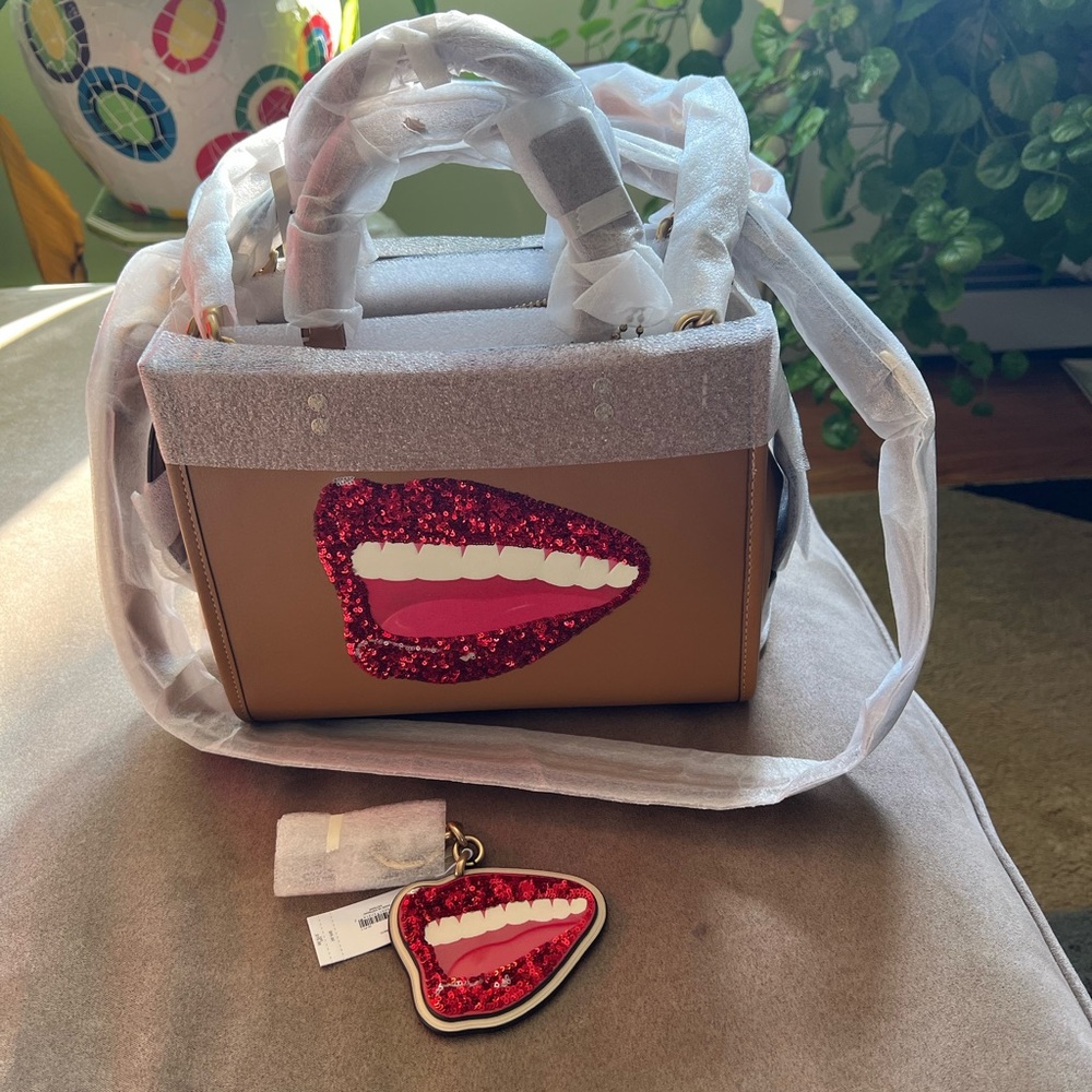 Coach X Tom Wesselmann rogue and charm.